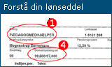 Hjælp til indtastningen